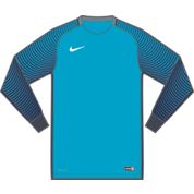 Nike Gardien Long Sleeve Goalkeeper Jersey - Blue/Grey