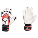 PUMA v-Pro 01 Goalkeeper Gloves