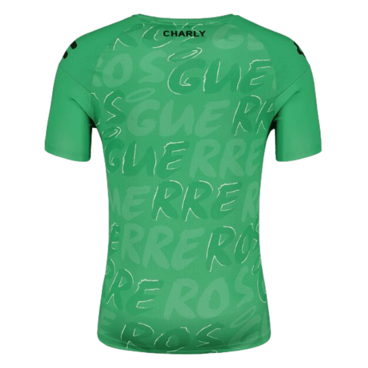 Charly Santos Camiseta de Entrenamiento para Jugador - Verde