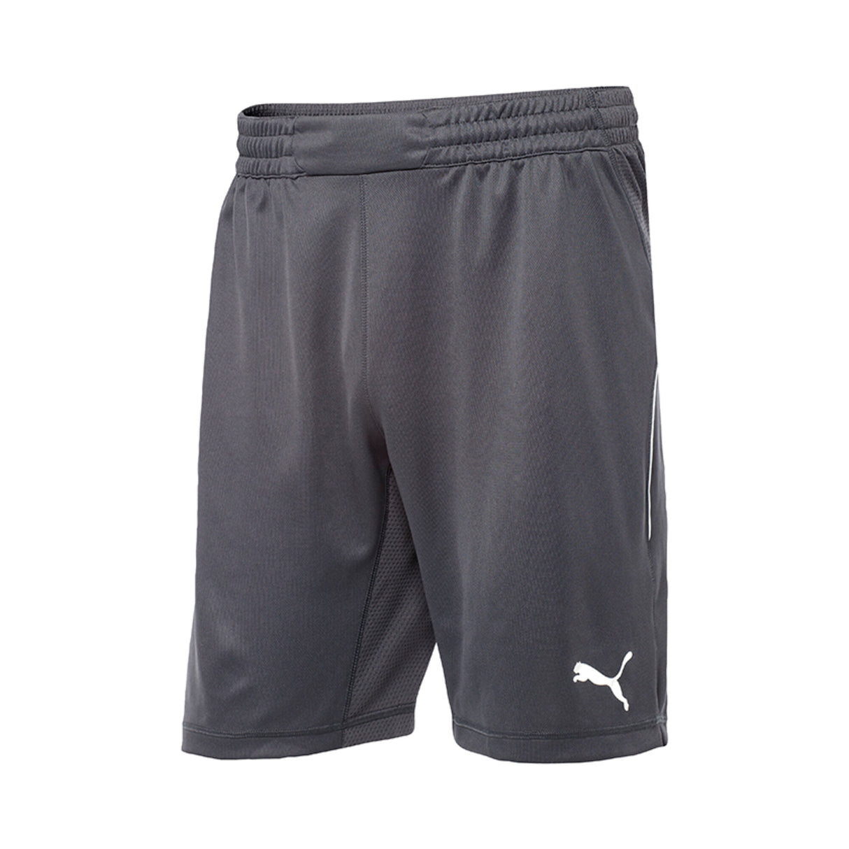 PUMA Goalkeeper Shorts