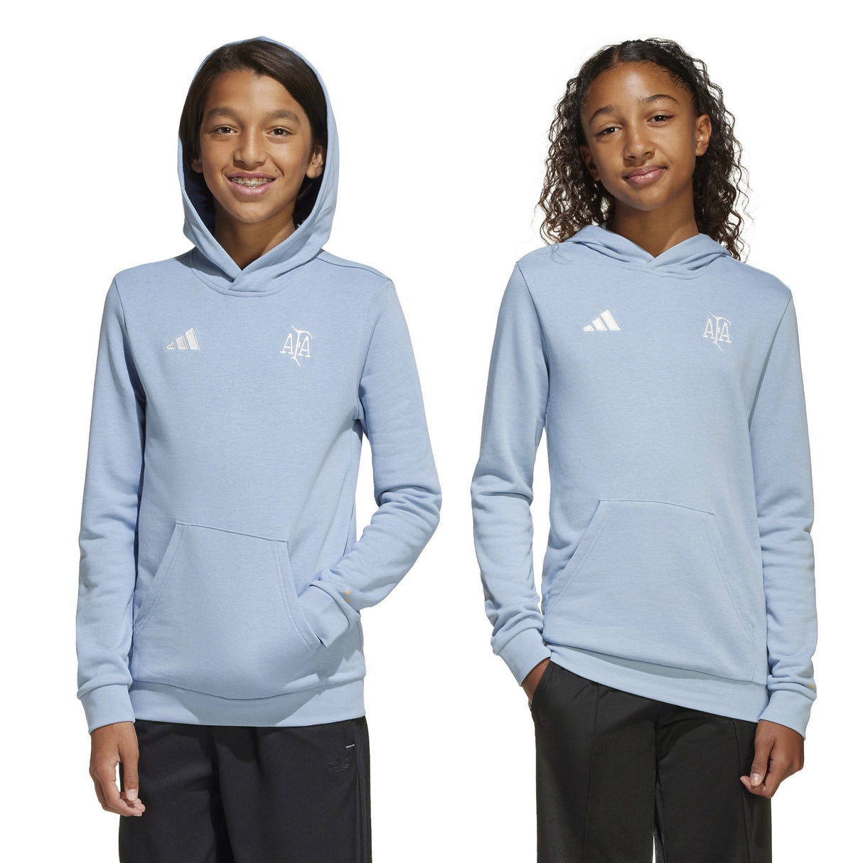 adidas Argentina Anniversary DNA Hoodie Sky/White - Best Buy Soccer