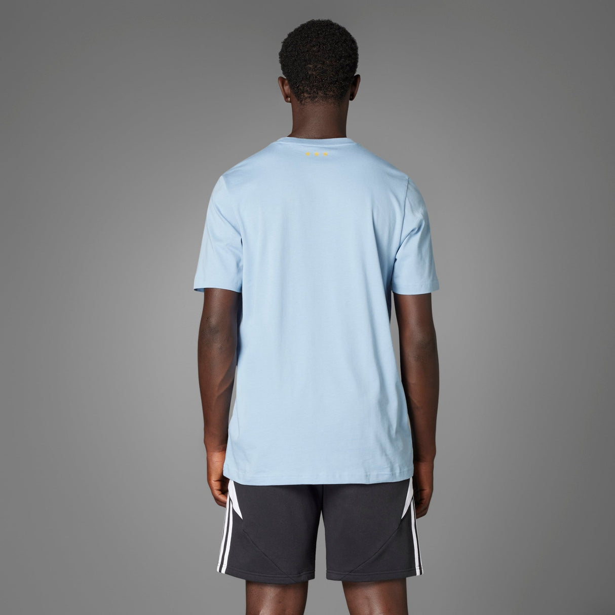 adidas Argentina Anniversary DNA T-Shirt Sky/White - Best Buy Soccer