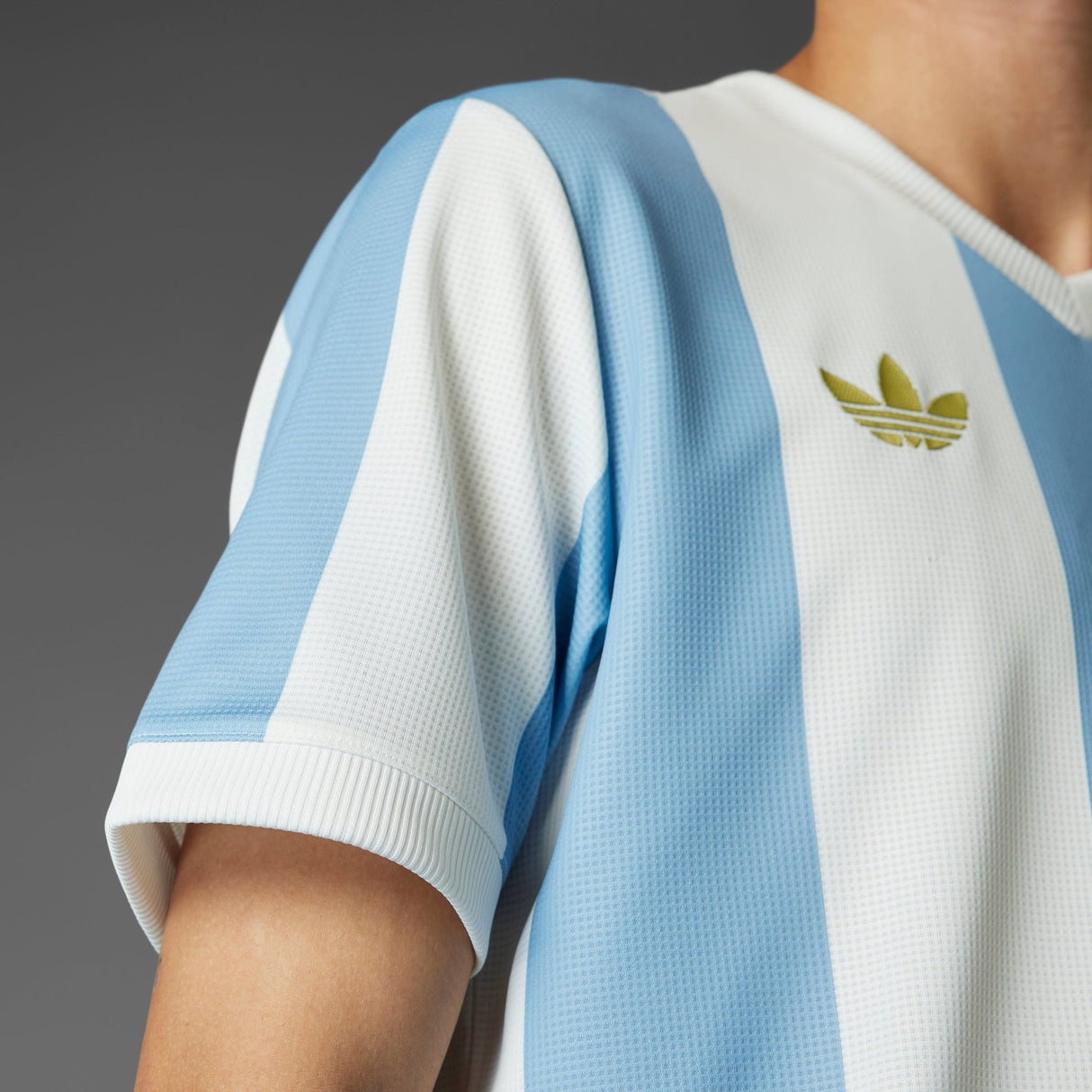 adidas Argentina Anniversary Jersey 24/25 Sky/White - Best Buy Soccer