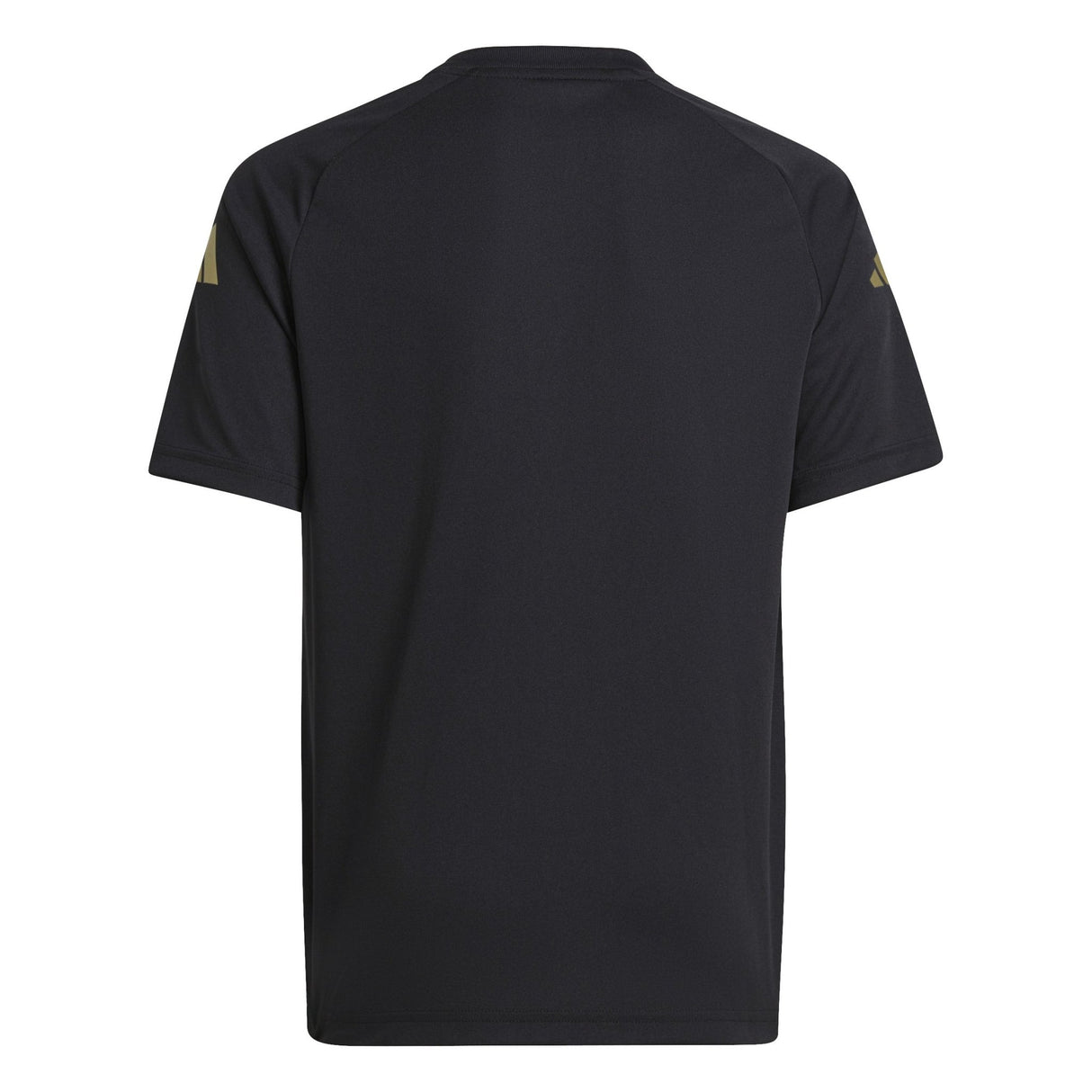 adidas Argentina Pre Match Jersey 24 Youth - Best Buy Soccer