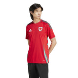 adidas Wales Home Jersey 2024 - Best Buy Soccer