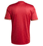 adidas Camiseta de aniversario del FC Bayern Munich para hombre 25 Granate