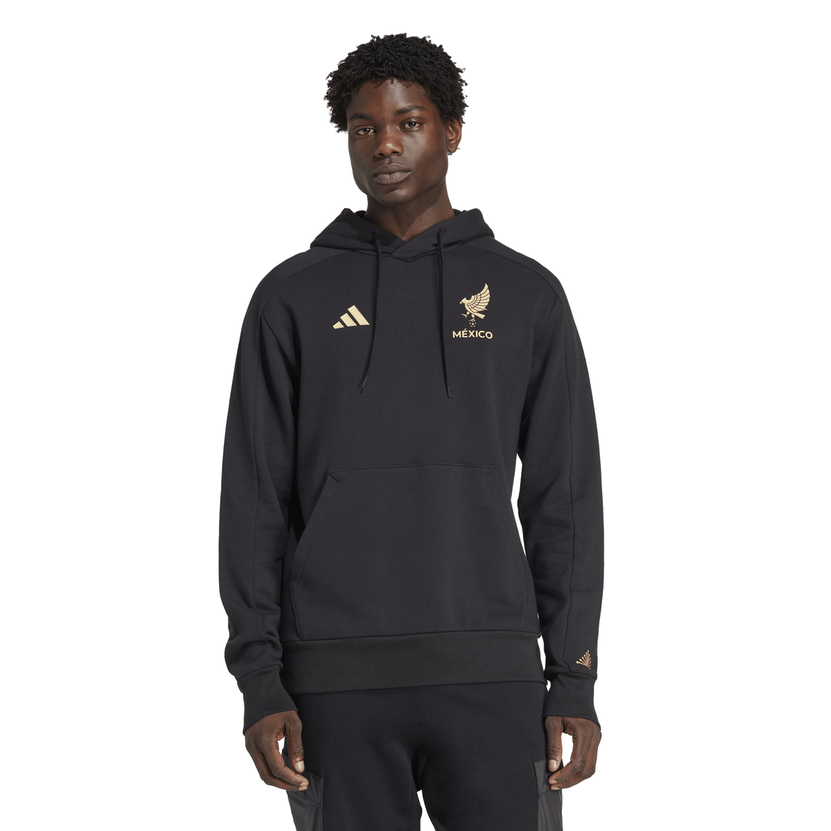 Mexico Gold DNA Hoodie Black - Best Buy Soccer