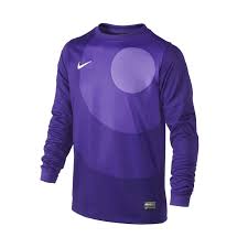 Nike LS Park IV Goalkeeper Jersey - Best Buy Soccer