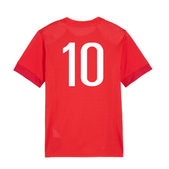 PBSA Puma Team Goal Matchday Jersey - Best Buy Soccer