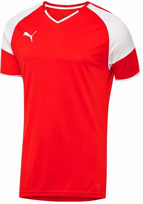 PUMA Borussia Jersey - Best Buy Soccer