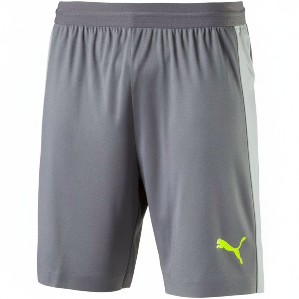 PUMA Evo Training Tech Shorts - Quiet Shade/Safety - Best Buy Soccer