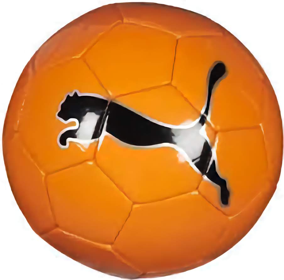 PUMA Fluo CAT Soccer Ball Orange - Best Buy Soccer