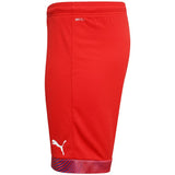 PUMA Mens Cup Shorts - Best Buy Soccer