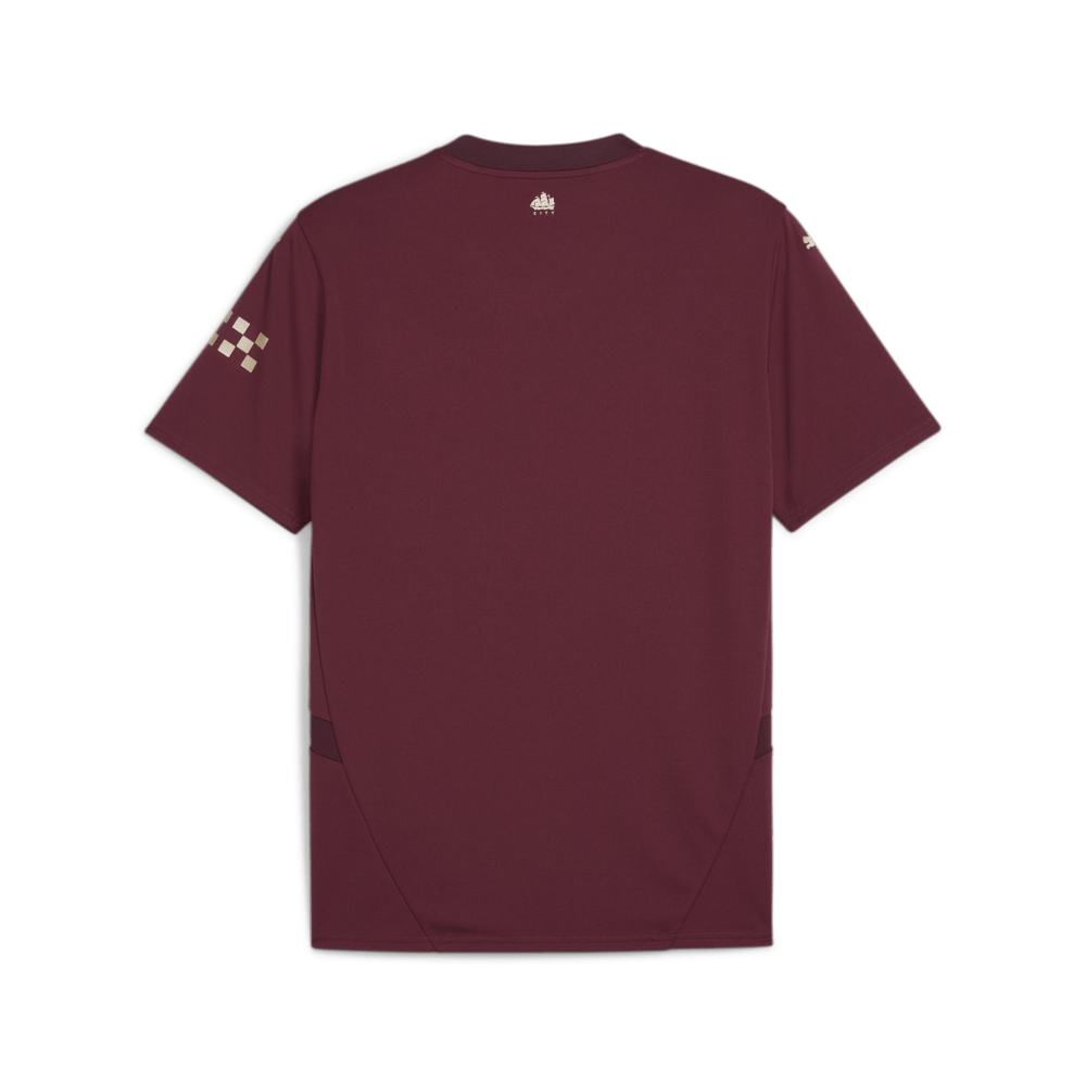 PUMA Men's Manchester City Third Jersey 24 - Best Buy Soccer