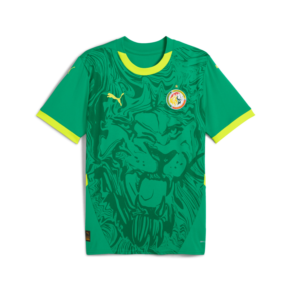 PUMA Men's Senegal Away Jersey Replica 25 Green - Best Buy Soccer