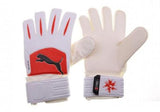 PUMA PowerCat 3.10 Grip RC Goalkeeper Gloves - Best Buy Soccer