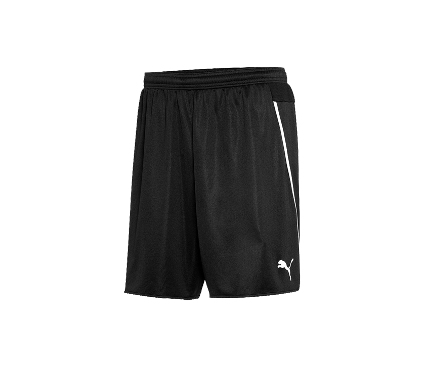 PUMA Speed Shorts - Best Buy Soccer