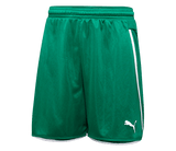 PUMA Speed Shorts - Best Buy Soccer