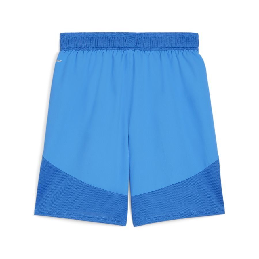 PUMA Team Final Shorts - Best Buy Soccer