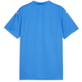 PUMA Team Glory Jersey - Best Buy Soccer
