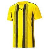 PUMA Team Liga 25 Stripe Jersey - Best Buy Soccer