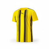 PUMA Team Liga 25 Stripe Jersey - Best Buy Soccer