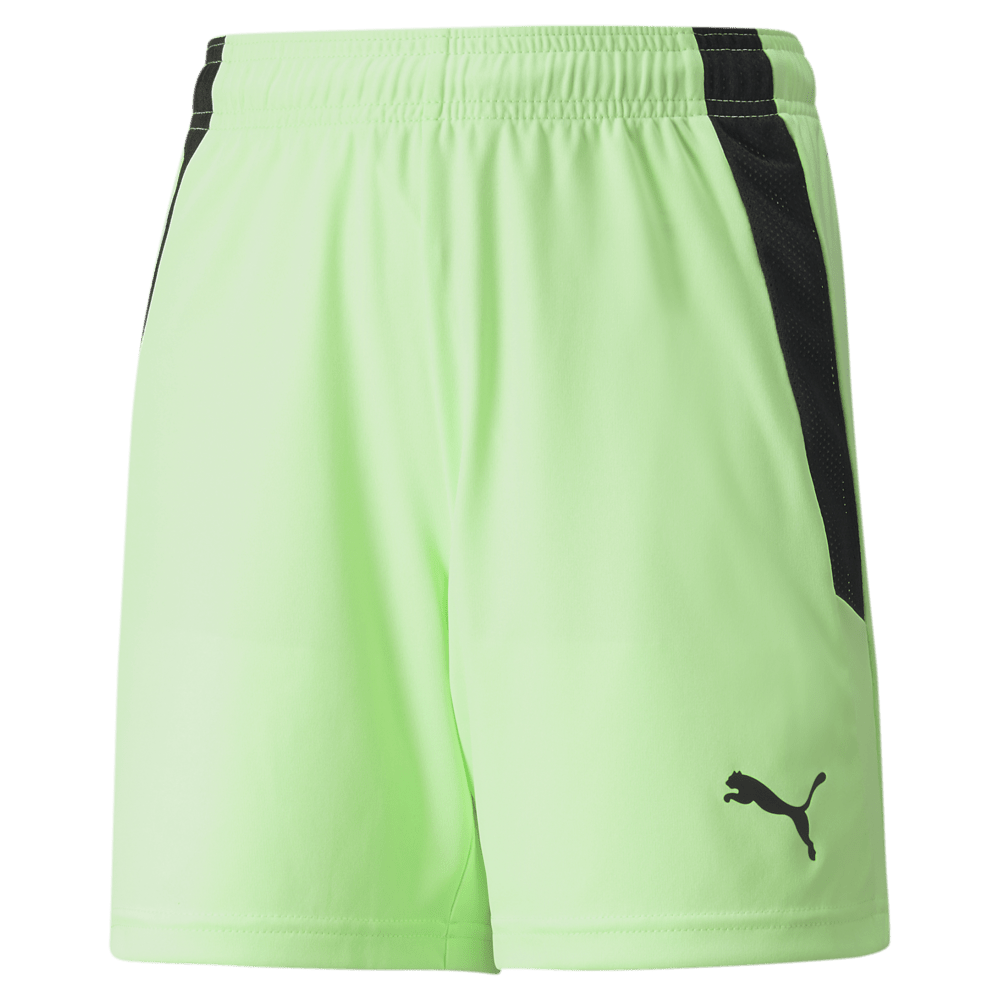 PUMA Team Liga Shorts - Best Buy Soccer