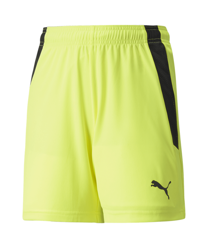 PUMA Team Liga Shorts - Best Buy Soccer