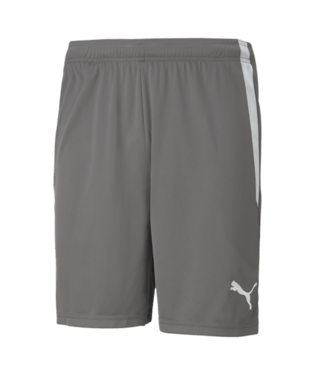 PUMA Team Liga Shorts - Best Buy Soccer