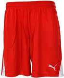 PUMA Team Shorts - Best Buy Soccer