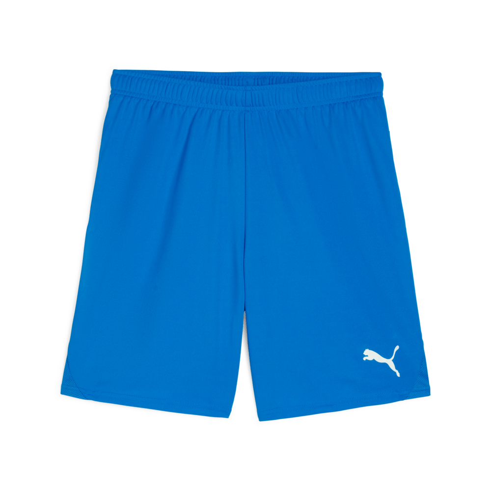 PUMA Teamgoal Shorts - Best Buy Soccer