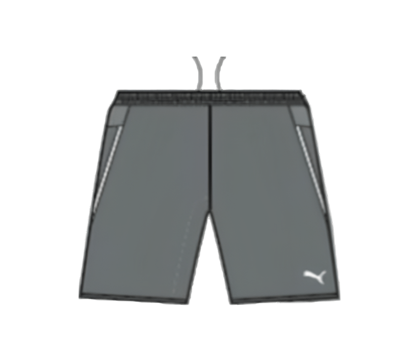 PUMA Women's Speed Short Grey - Best Buy Soccer