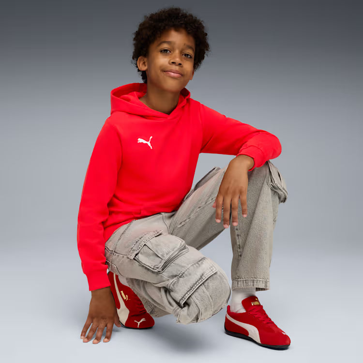 PUMA Teamgoal Casuals Hoodie