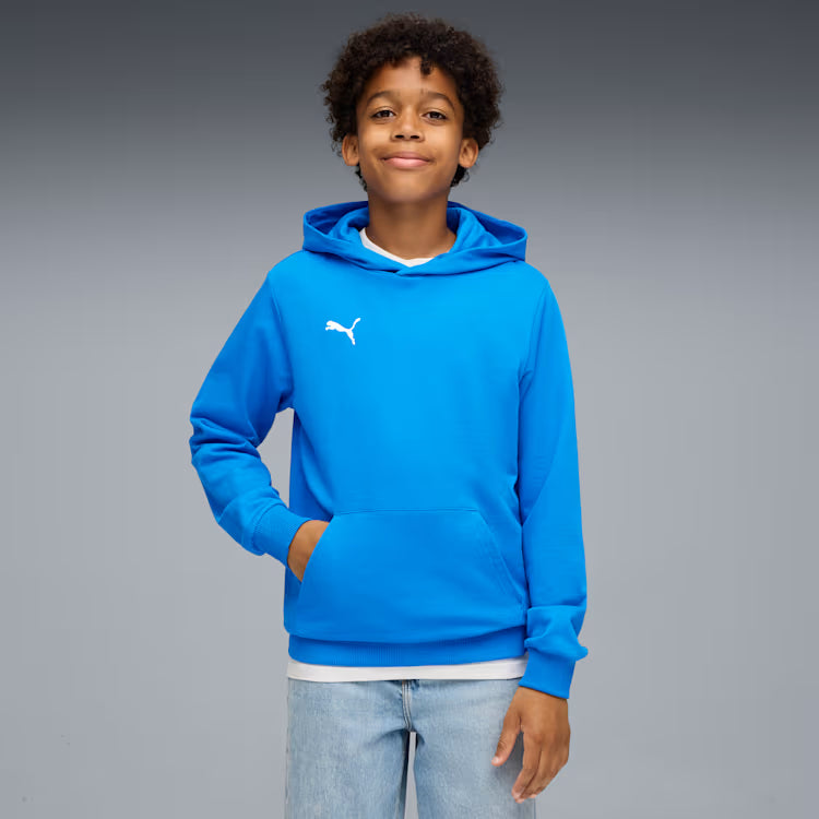 PUMA Teamgoal Casuals Hoodie