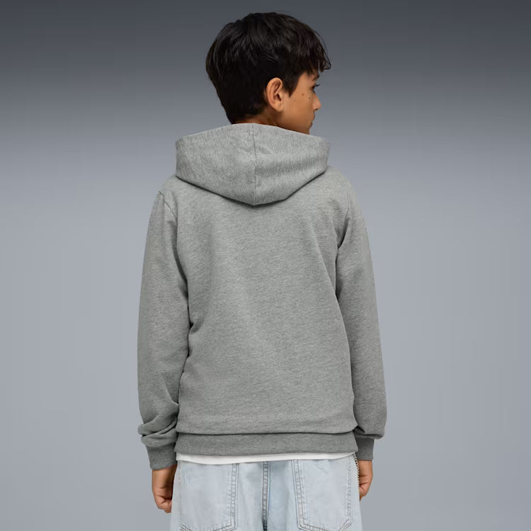 PUMA Teamgoal Casuals Hoodie