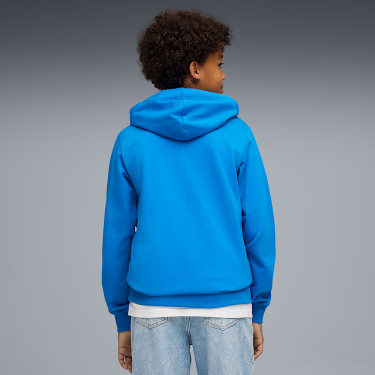 PUMA Teamgoal Casuals Hoodie