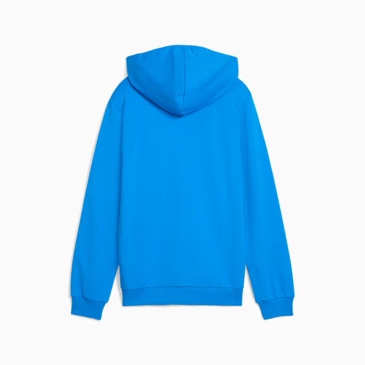 PUMA Teamgoal Casuals Hoodie