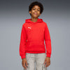 PUMA Teamgoal Casuals Hoodie