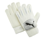 PUMA PowerCat 4.10 Grip Goalkeeper Gloves White/Silver