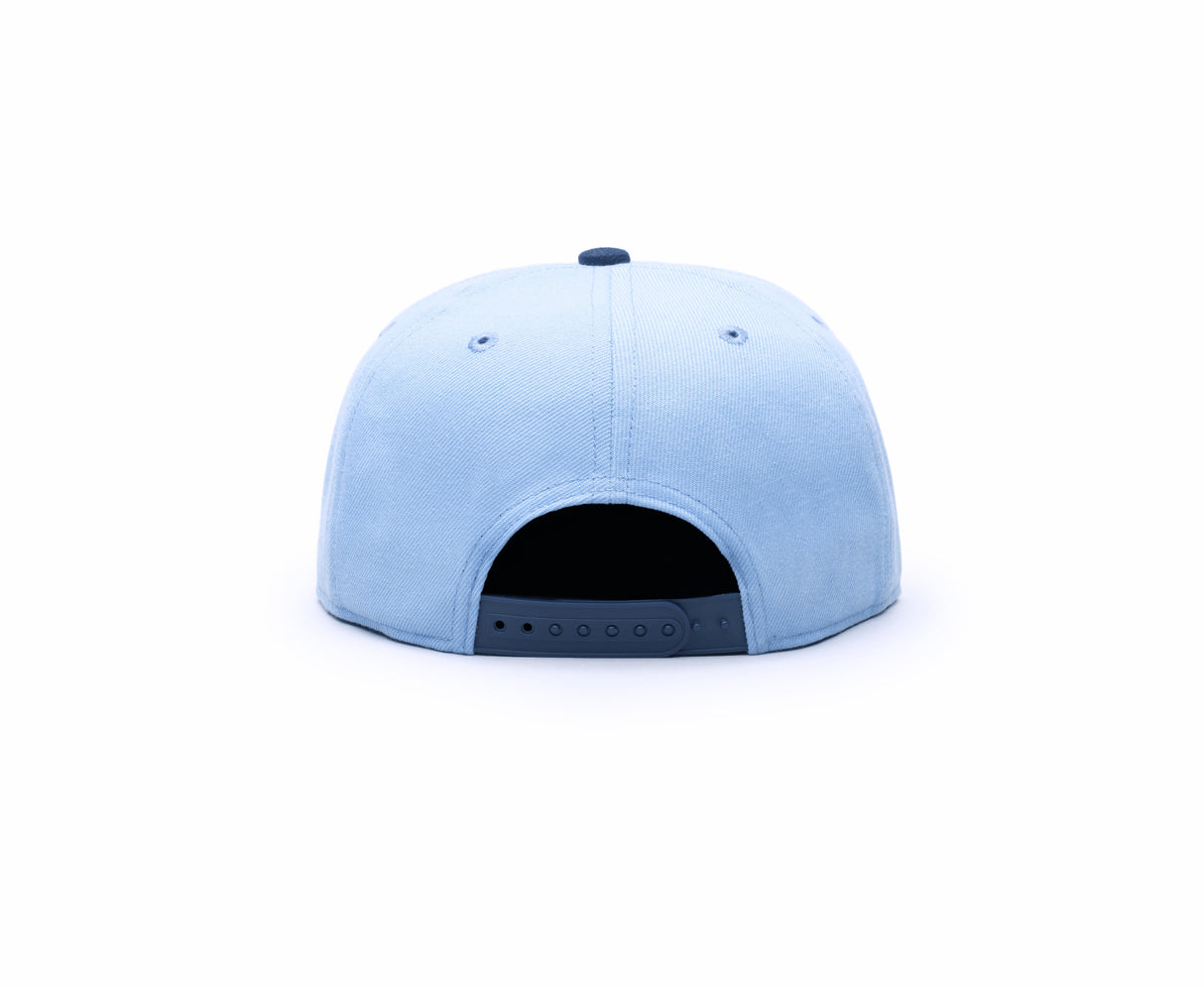 FANINK Team Snapback - Best Buy Soccer