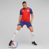 PUMA Chivas Casuals Tee - Best Buy Soccer