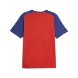 PUMA Chivas Casuals Tee - Best Buy Soccer
