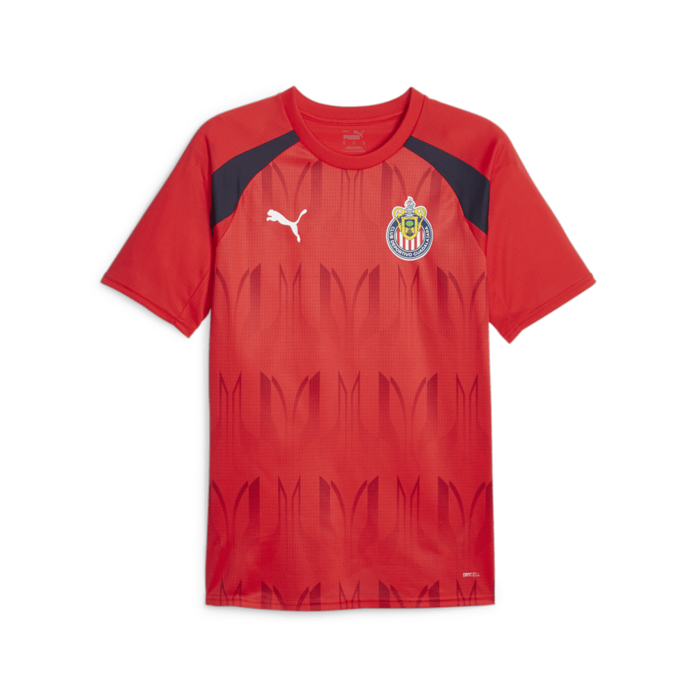 PUMA Chivas Prematch Short Sleeve Jersey - Best Buy Soccer