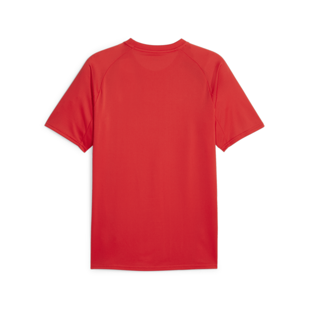 PUMA Chivas Prematch Short Sleeve Jersey - Best Buy Soccer