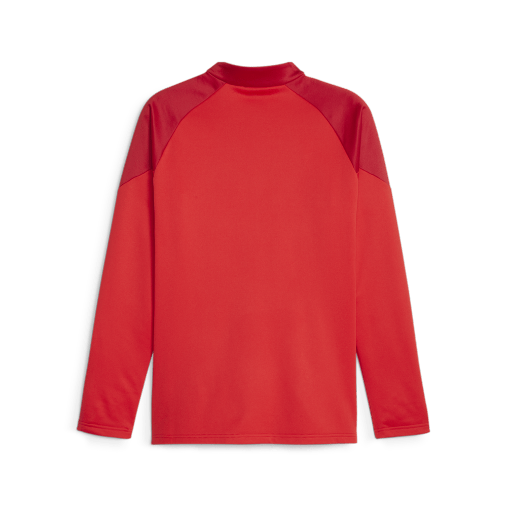 PUMA Chivas Training Fleece - Best Buy Soccer