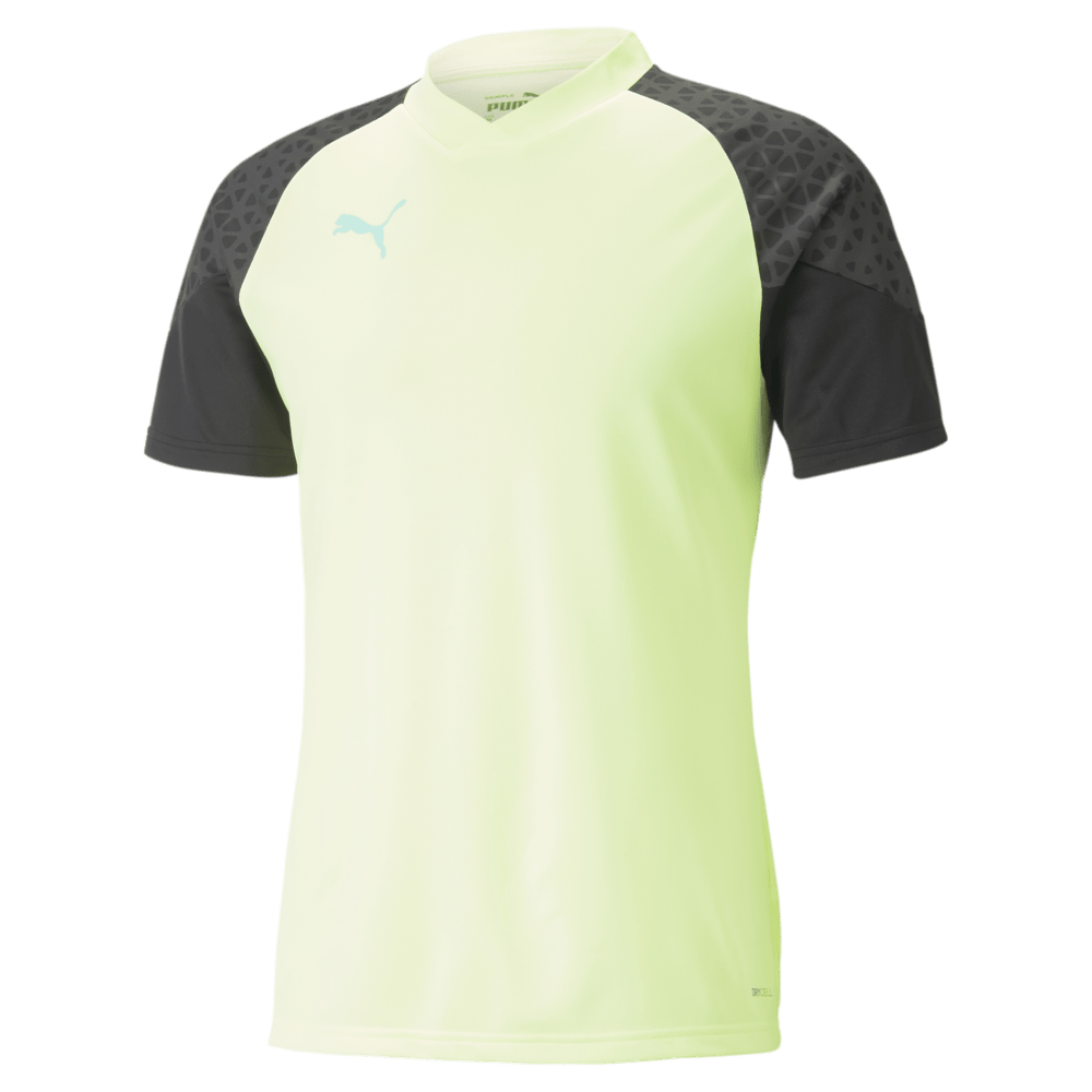 PUMA IndividualCup Training Jersey - Best Buy Soccer