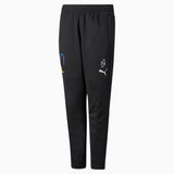 PUMA Neymar JR Thrill Training Pant - Best Buy Soccer
