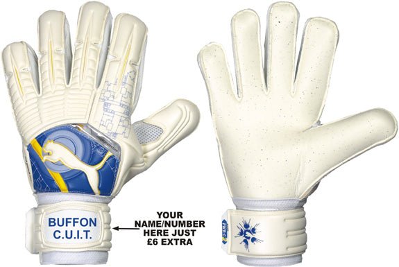 PUMA PowerCat 2.10 Protect RC Whi - Best Buy Soccer
