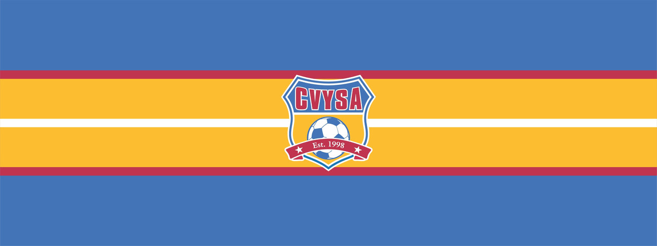 Catawba Valley Youth Soccer Association - Best Buy Soccer