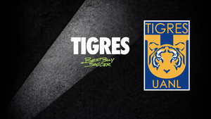 Tigres